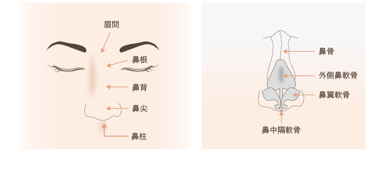 鼻の総論 整形 | 水の森美容外科【大阪（梅田）】