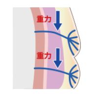 シワ・たるみ・クマができる原因