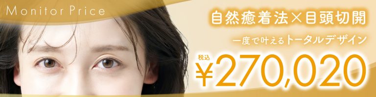 自然癒着法×目頭切開 モニタープライス 税込270,020円
